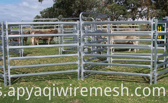 Panel de valla portátil de malla de oveja galvanizada de venta caliente/panel de corral/panel de alpaca (fábrica)